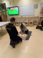 Program profilaktyki „Żyje i pomagam bezpiecznie”, 