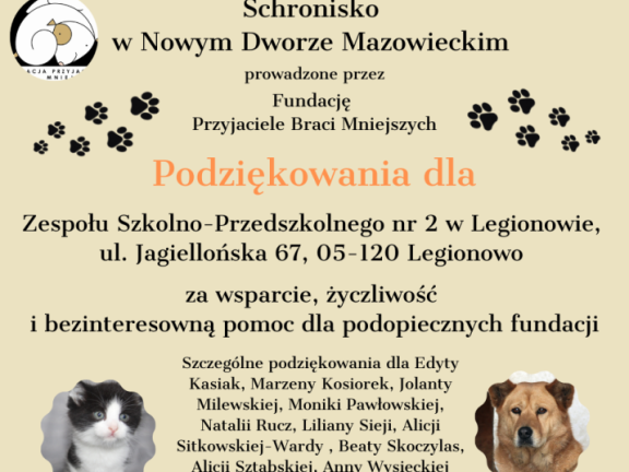 Obraz przedstawia Dary dla kotów ze schroniska