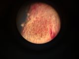 Pomoce dydaktyczne Laboratoria Przyszłości, 