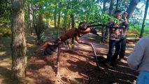 Wycieczka klas 3a i 3b do Mikrokosmosu,