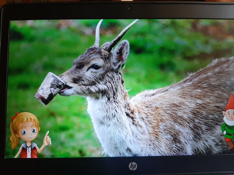 Ikona